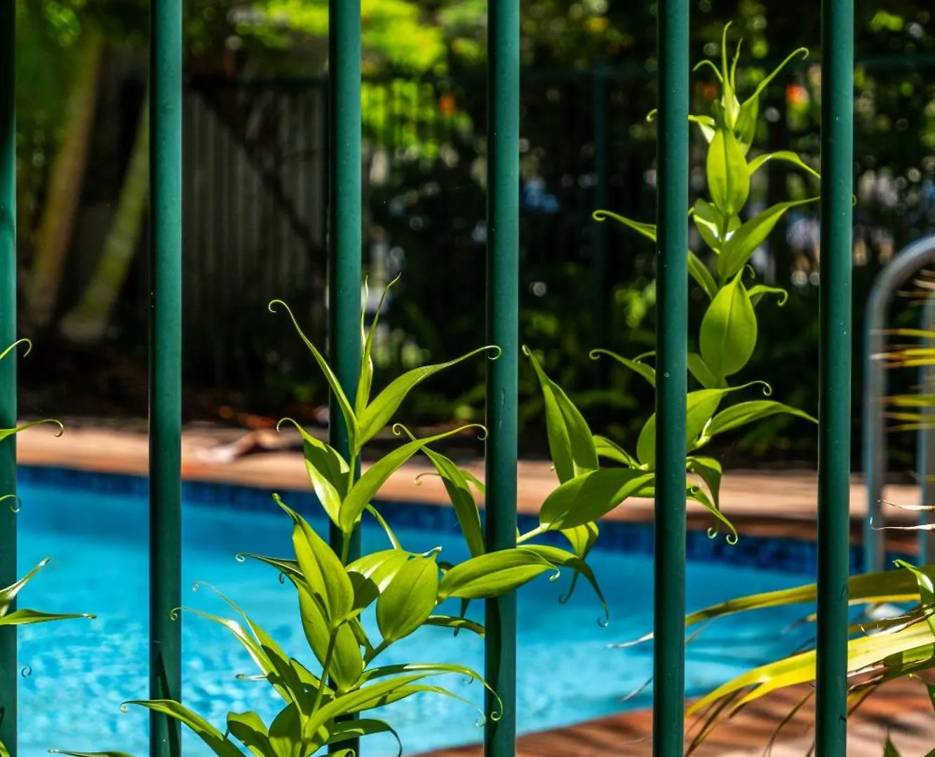 Apartment Federation Avenue Broadbeach Gold Coast